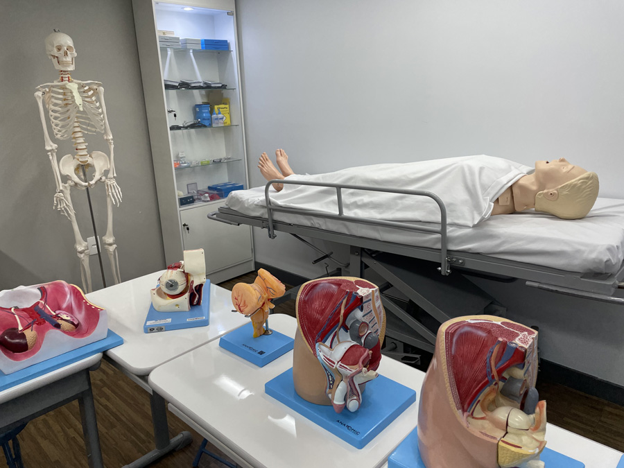 Peças anatômicas e manequins